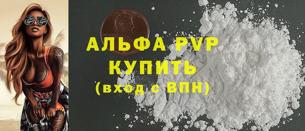 гашик Майский