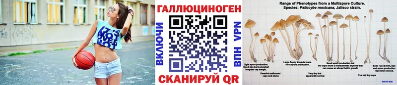Псилоцибиновые грибы MAGIC MUSHROOMS  купить наркотик  Щёлкино 